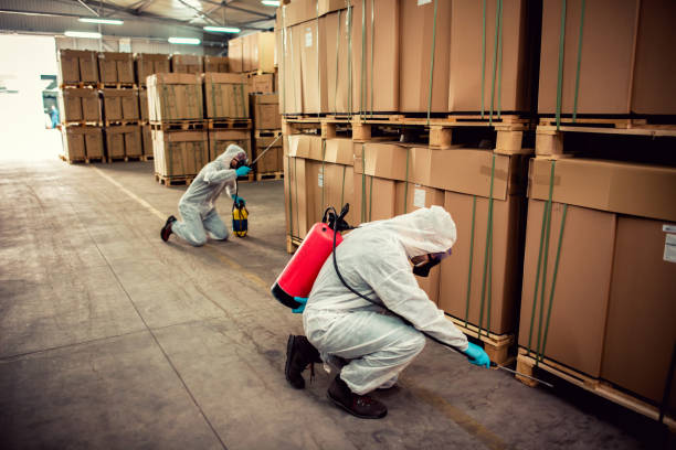 Best Rat Extermination Near Me  in Maynardville, TN