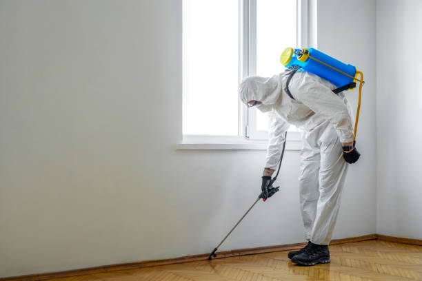 Best Exterminator Services  in Maynardville, TN