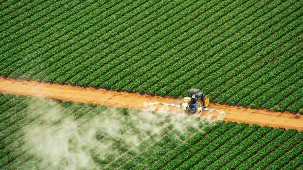 Best Pest Prevention Services  in Maynardville, TN