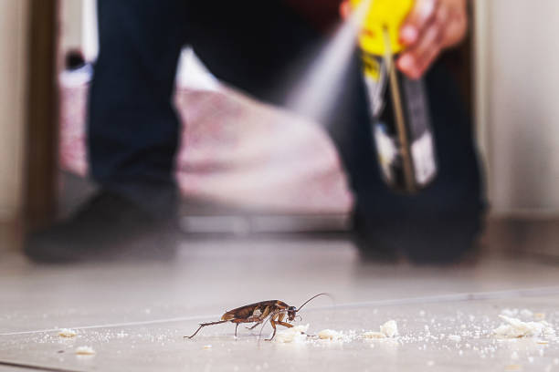Pest Control Cost in Maynardville, TN