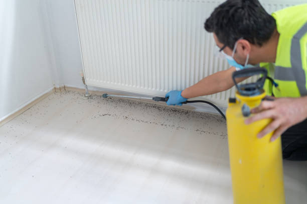 Best Pest Control for Homes  in Maynardville, TN