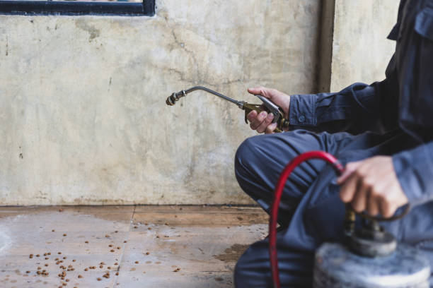 Best Pest Inspection Near Me  in Maynardville, TN